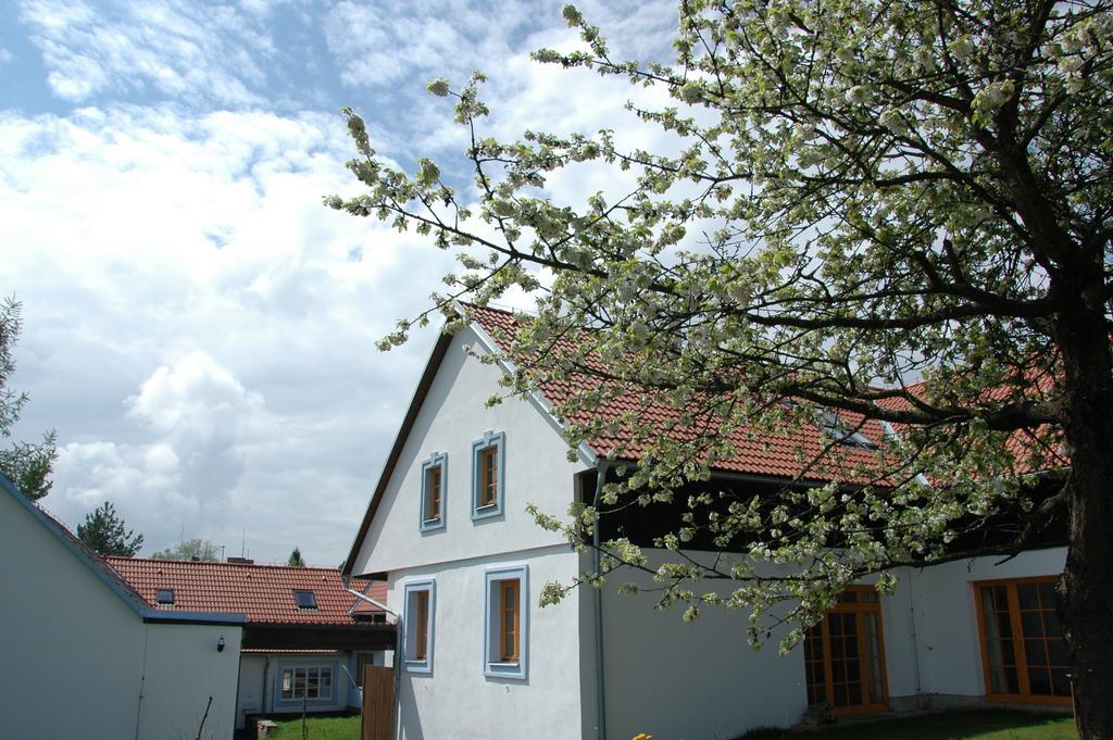 Boretinsky Statek Exterior photo